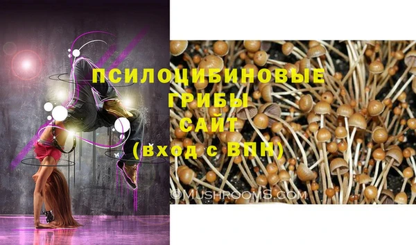 дмт Алексеевка