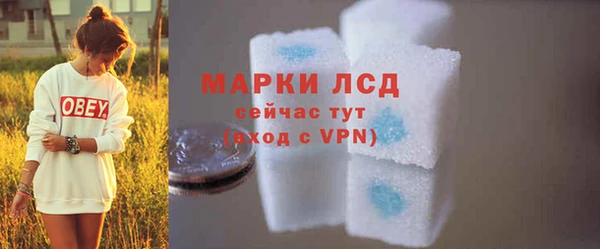 стафф Инта