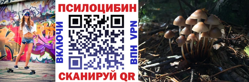 купить закладку  Лахденпохья  кракен зеркало  Псилоцибиновые грибы Psilocybine cubensis 